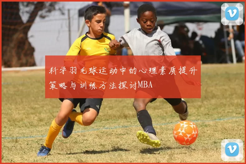 科学羽毛球运动中的心理素质提升策略与训练方法探讨MBA