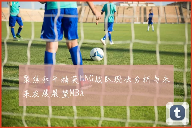 聚焦和平精英LNG战队现状分析与未来发展展望MBA