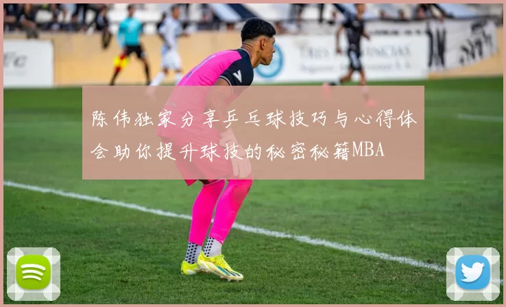 陈伟独家分享乒乓球技巧与心得体会助你提升球技的秘密秘籍MBA