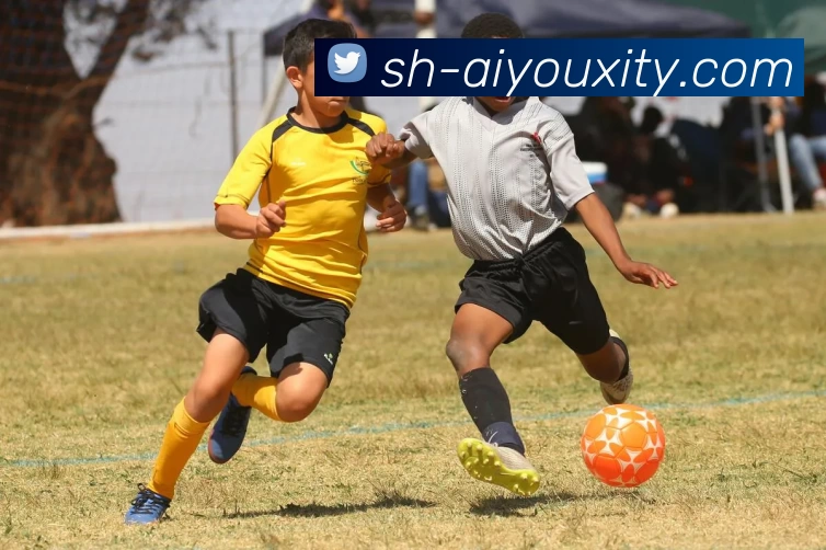 App Interface Preview