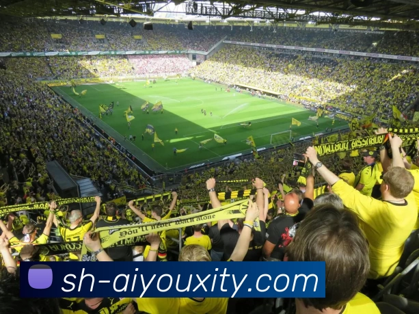 爱游戏体育APP 封面图